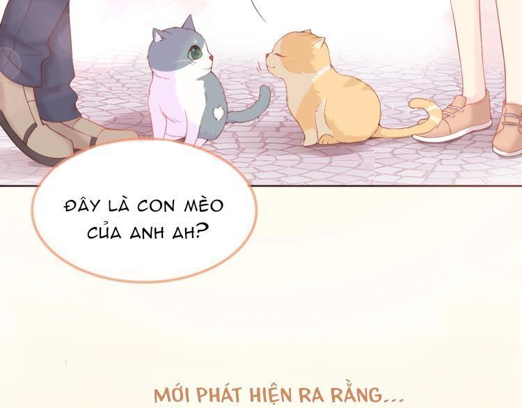 Bên Anh Mới Là Cả Thế Giới Chương 5 Page 28