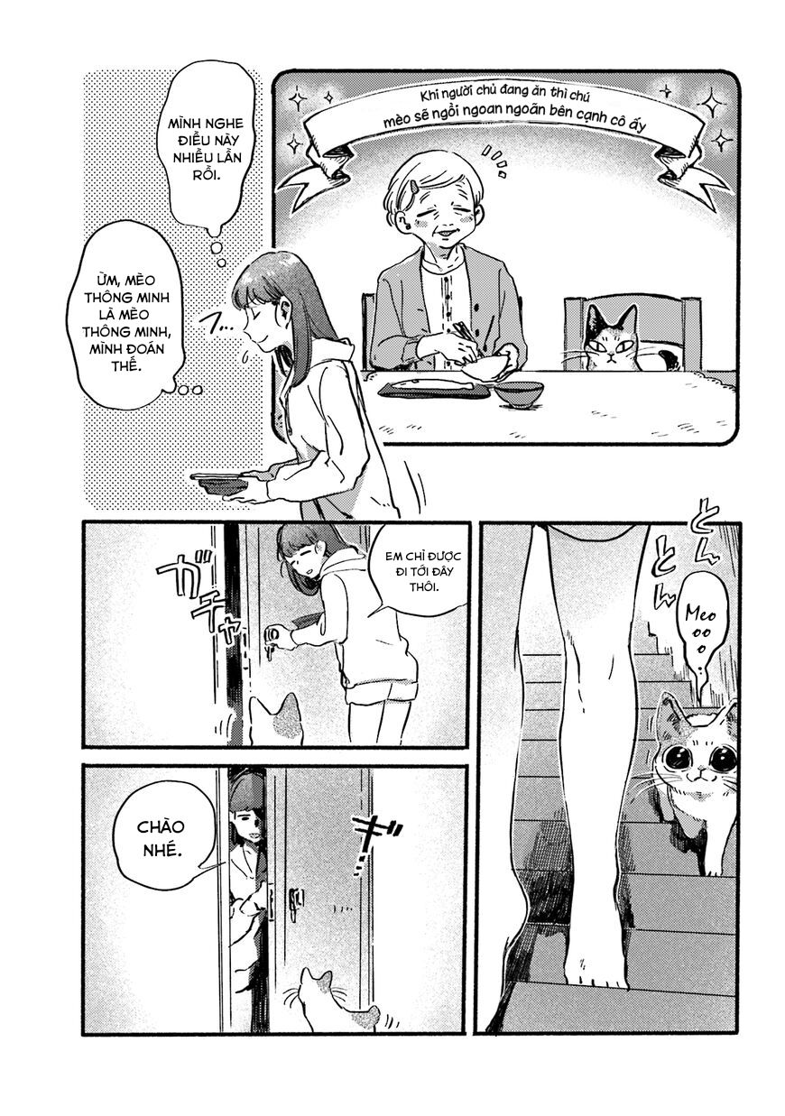 Nekodamari Chương 13 Page 7