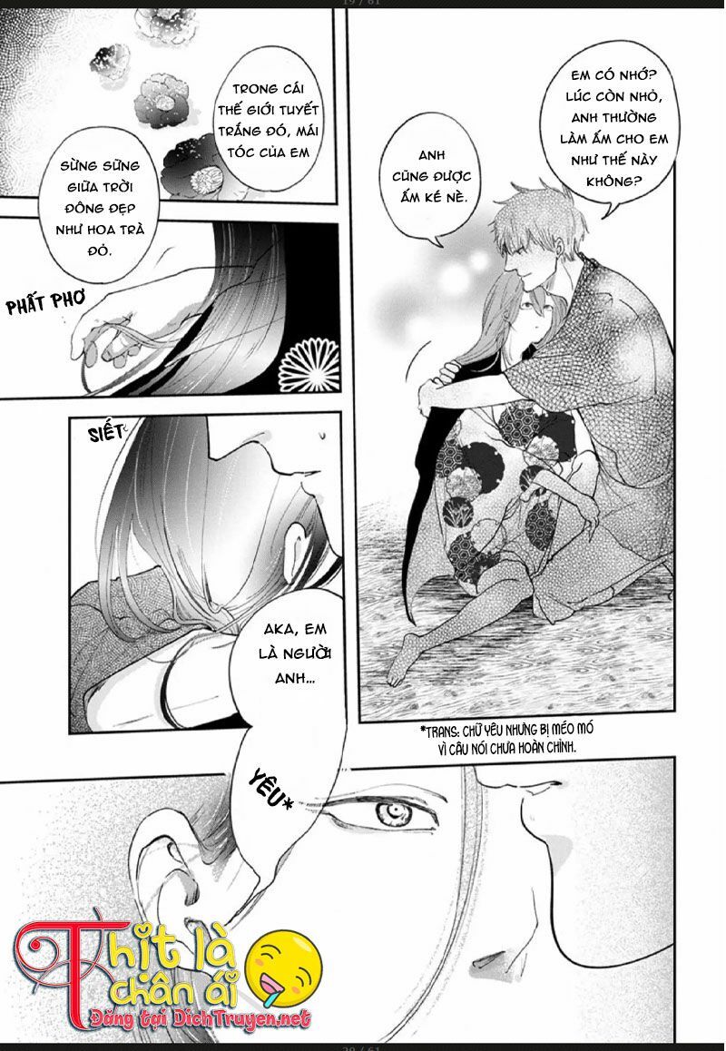 Hoa Trà Đỏ Chương 3 Page 17