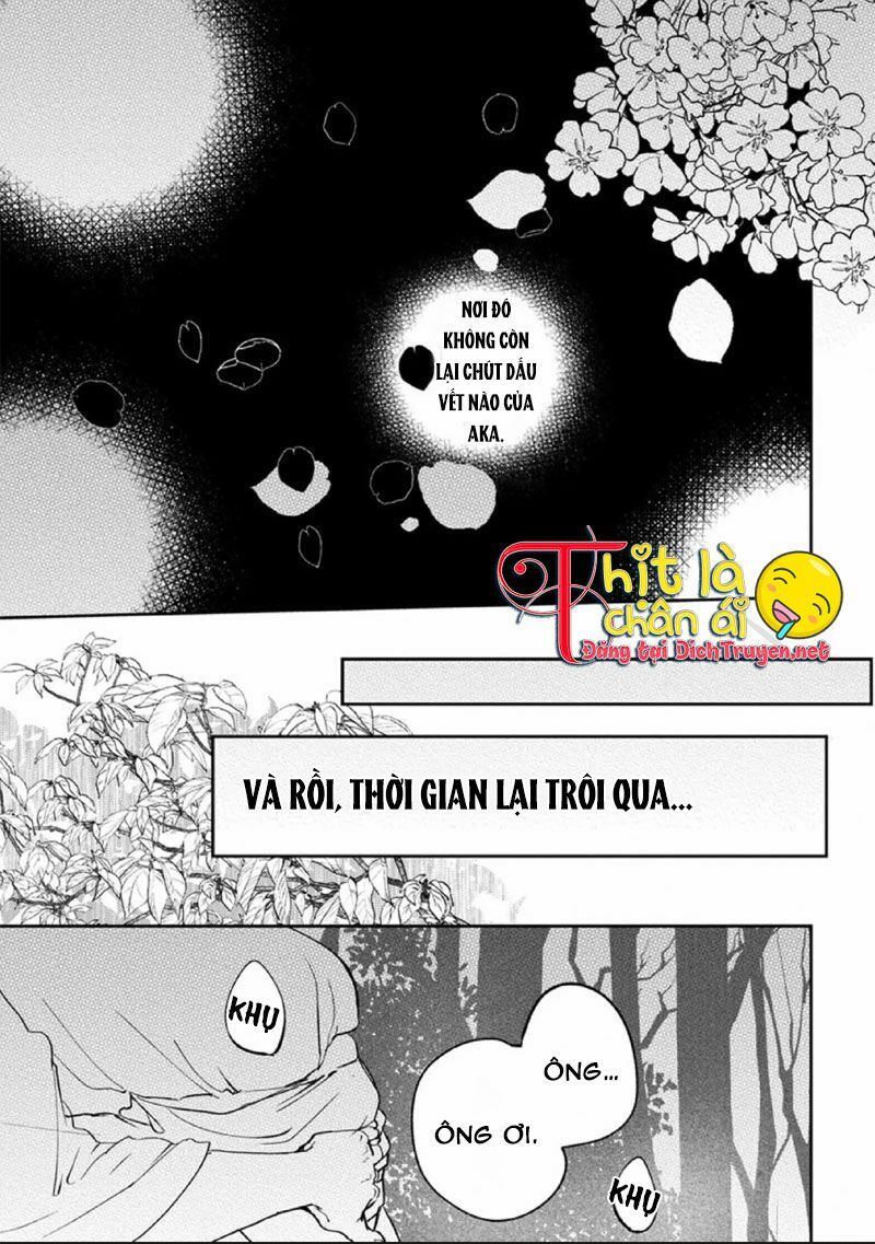 Hoa Trà Đỏ Chương 3 Page 45