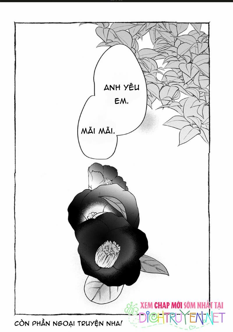 Hoa Trà Đỏ Chương 3 Page 58