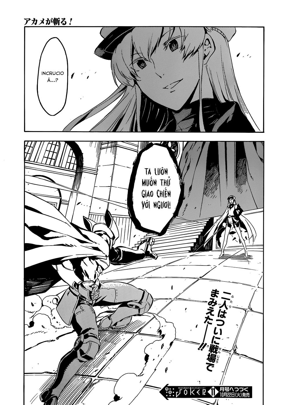 Akame Ga Kiru Chương 41 Page 45