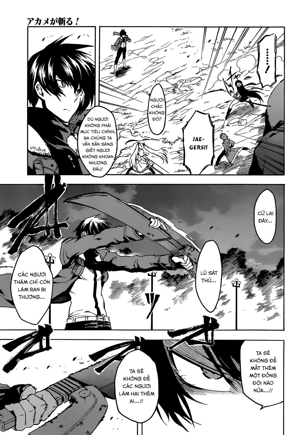 Akame Ga Kiru Chương 41 Page 14