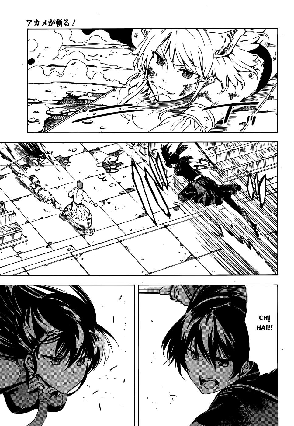 Akame Ga Kiru Chương 43 Page 10