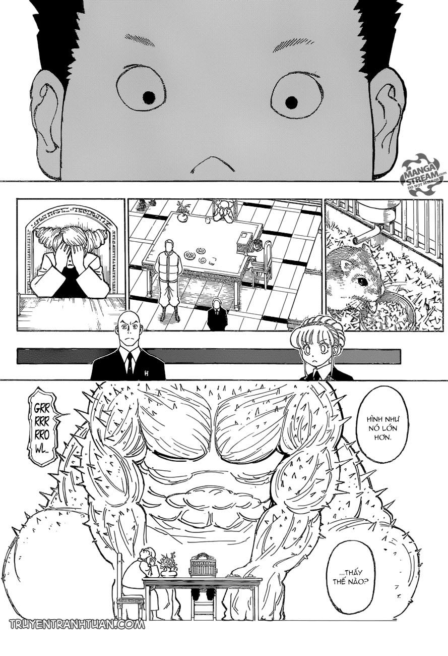 Hunter X Hunter Chương 372 Page 5