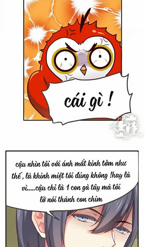 Tân Quang Thiên Chương 14 Page 11