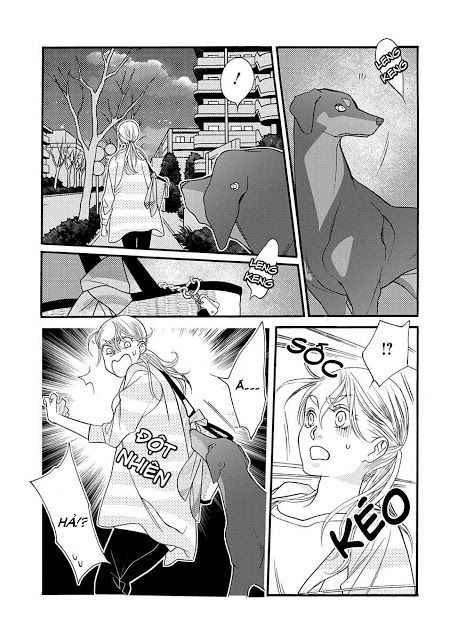 Koisuru Moon Dog Chương 1 Page 12