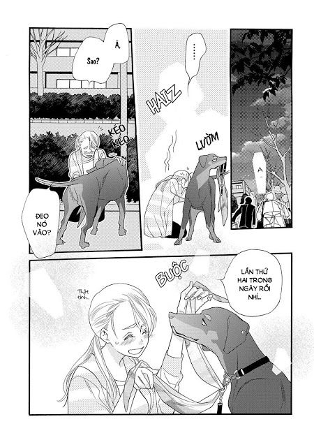 Koisuru Moon Dog Chương 1 Page 40