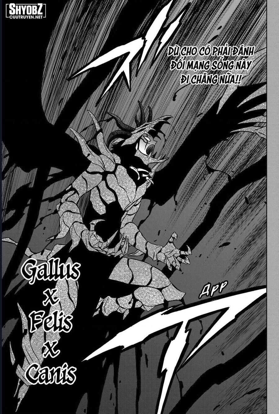 Black Clover – Thế Giới Phép Thuật Chương 375 Page 5