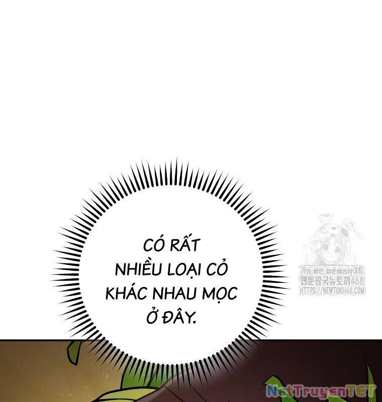 Tái Thiết Hầm Ngục Chương 235 Page 83