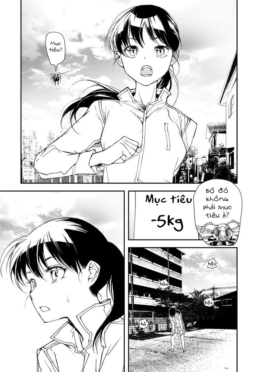 Shed! Ryugasaki-San Chương 91 Page 5