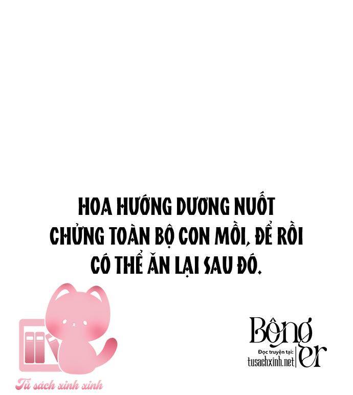 Đêm Của Bóng Tối Chương 50 Page 8