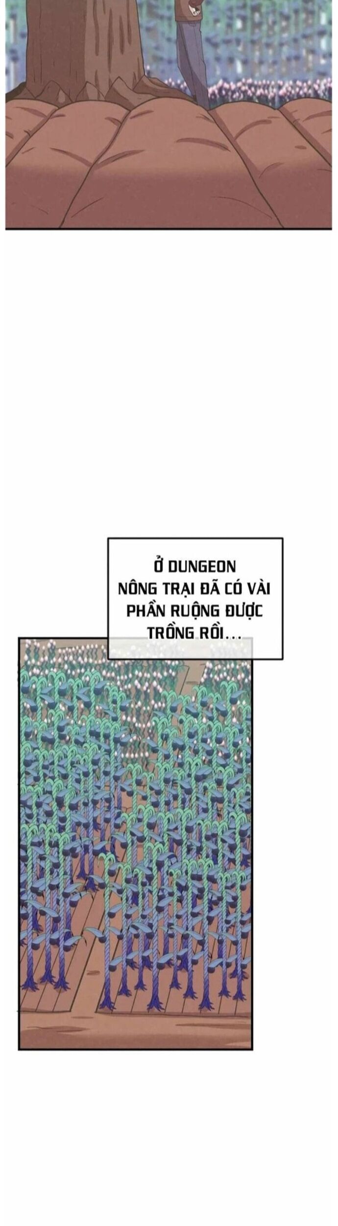 Tôi Trở Thành Một Nông Dân Chương 176 Page 38