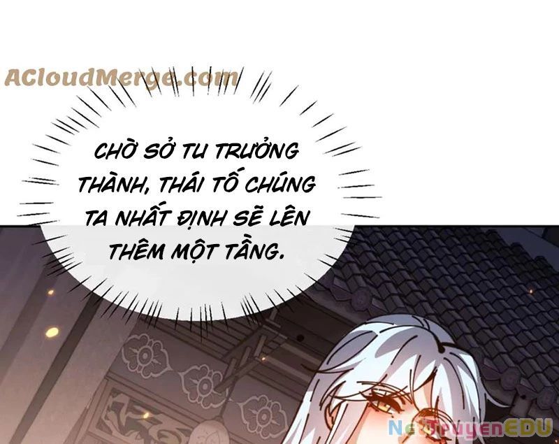 Sư Tôn: Nghịch Đồ Này Mới Không Phải Là Thánh Tử Chương 114 Page 154