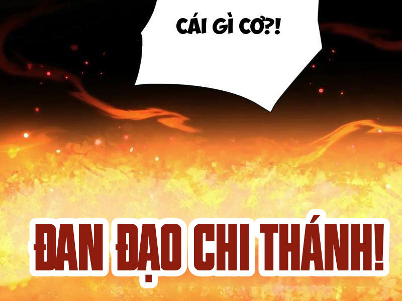 Bắt Đầu Chấn Kinh Nữ Đế Lão Bà, Ta Vô Địch! Chương 63 Page 158