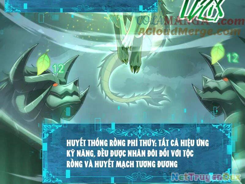 Toàn Dân Chuyển Chức: Ngự Long Sư Là Chức Nghiệp Yếu Nhất? Chương 79 Page 68