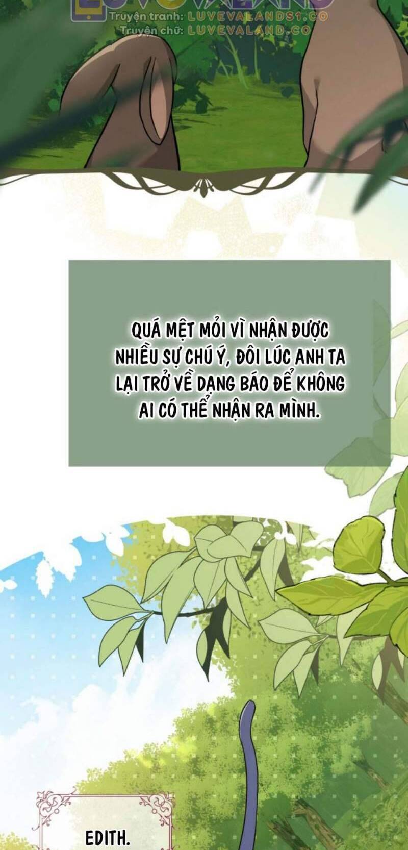 Mối Quan Hệ Cộng Sinh Giữa Báo Đen Và Thỏ Trắng Chương 153 Page 5