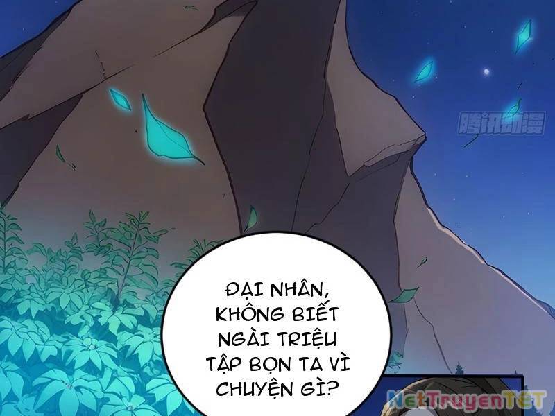 Ngươi Làm Bộ Tu Luyện Đi! Chương 82 Page 48